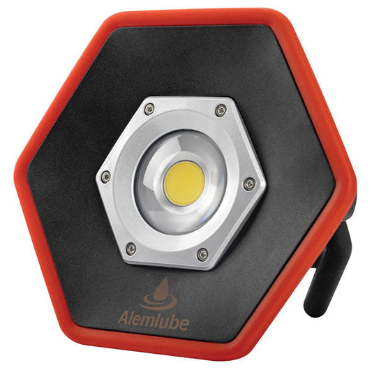 LED Flood Light 20055