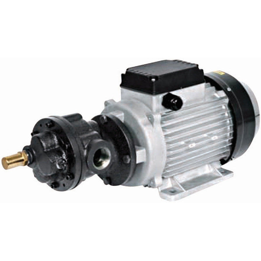 Electric Oil Transfer Pump 561611